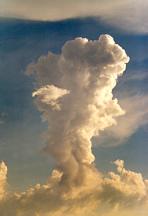 Elévation de cumulus en formation